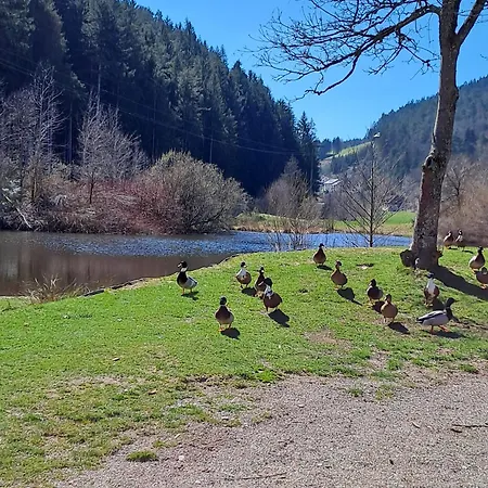 Appartement Les Papillons Schramberg