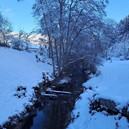 Appartement Les Papillons *