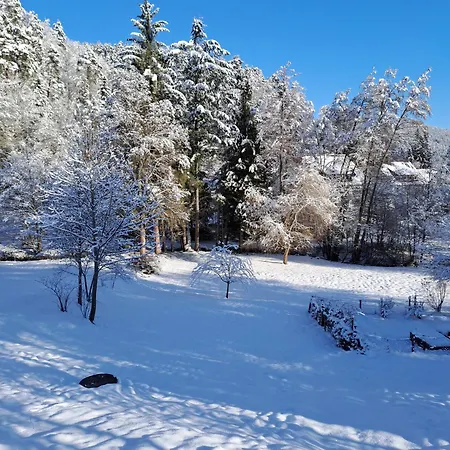 Les Papillons 아파트 *