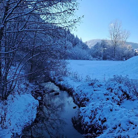 Appartement Les Papillons *