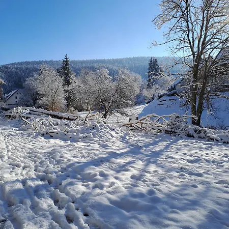 아파트 Les Papillons *