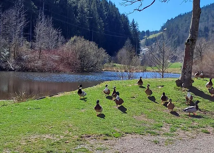 דירה Les Papillons שרמברג