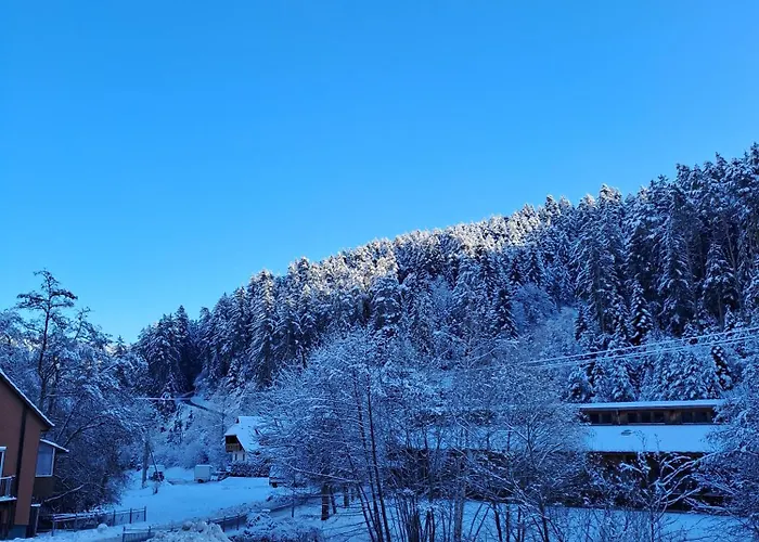 Les Papillons דירה *