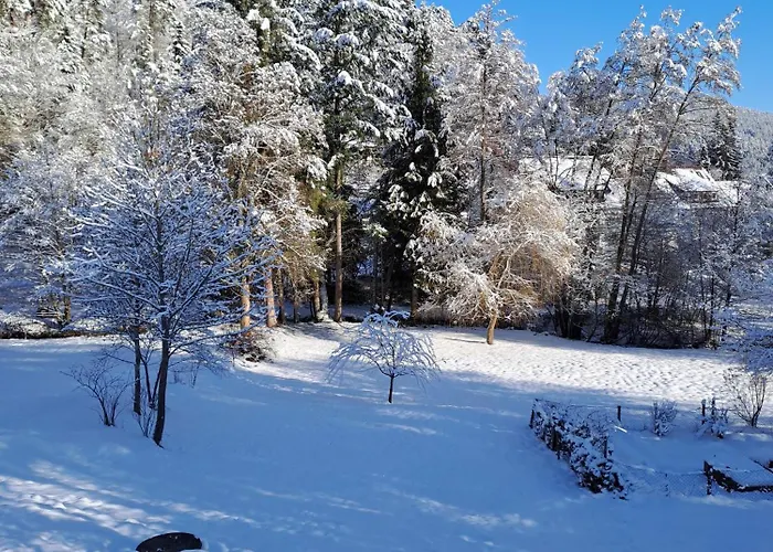 Les Papillons Appartement *