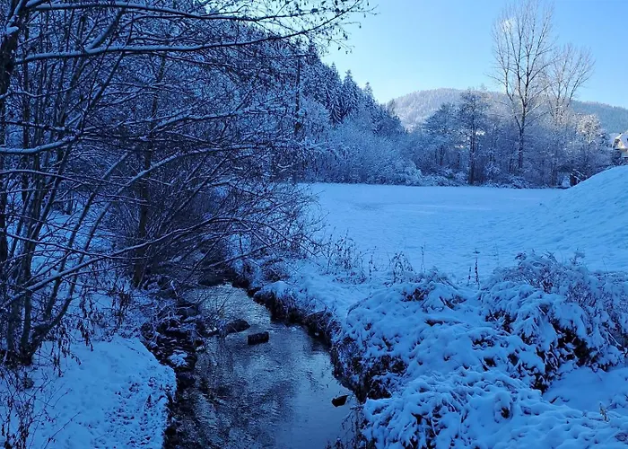 Appartement Les Papillons *