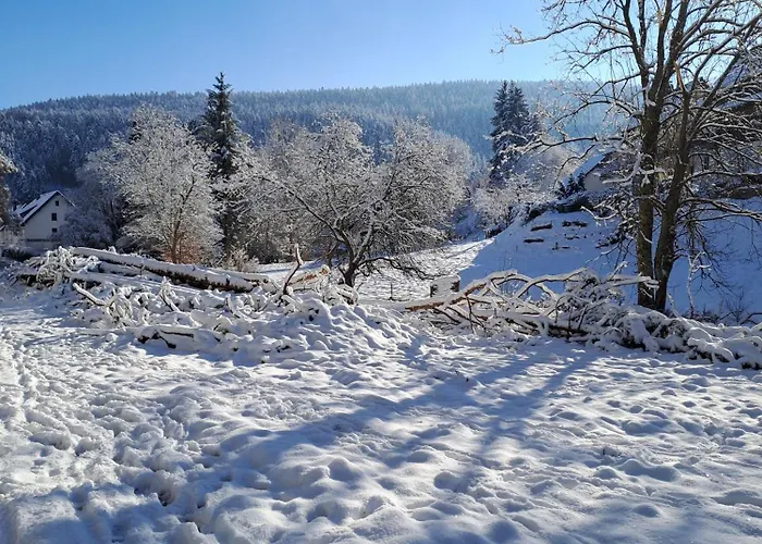 דירה Les Papillons *